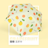 【雨伞】*夏季清新防晒五折口袋黑胶晴雨伞 商品缩略图2