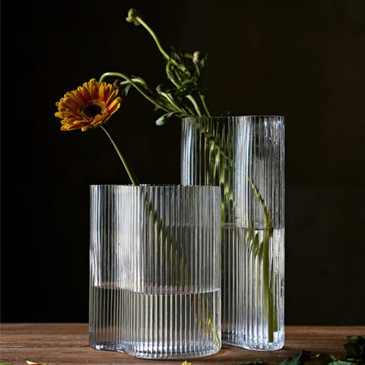 【花瓶】北欧ins透明玻璃花瓶水培客厅插花器现代简约插花摆件 商品图0