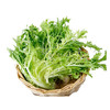 苦菊【约200g-250g】 商品缩略图0