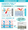 【日本直邮】日本花王KAO珂润Curel护发素替换装360ml 本土版JPY带授权招加盟代理 商品缩略图5