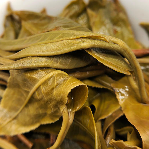 凰馨古茶【曼松】普洱生茶2020年900古树纯料200g 商品图2