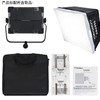永诺 YN6000摄像灯 LED摄影灯常亮补光灯演播室直播柔光灯 配电源适配器 5500K 单色 商品缩略图4