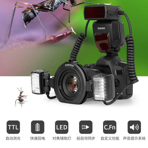 永诺 YN24EX 微距环形闪光灯口腔环闪灯双灯头  支持自动测光 商品图9