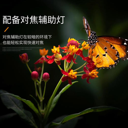 永诺 YN600EX-RT II 机顶闪光灯高速同步TTL外拍灯摄影灯兼容佳能5D4等相机 佳能口 商品图6