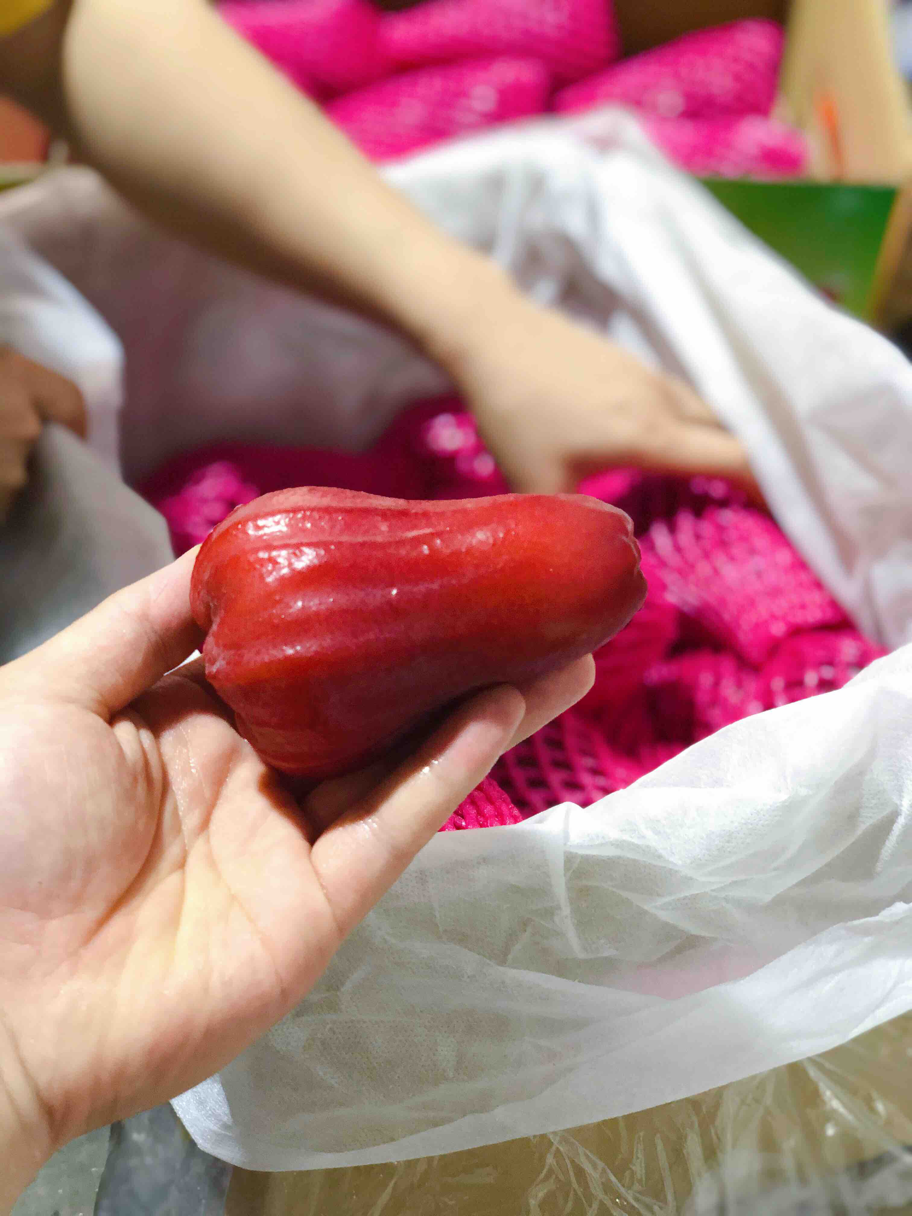 海南莲雾吉亩海南空运莲雾甜美爽口清润去火老少皆宜高血糖人群也可以