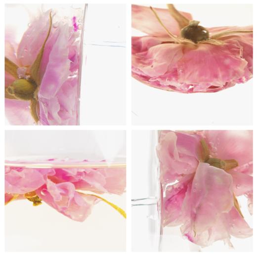 【自营】玫瑰花冠王 凌晨带露采摘 商品图1