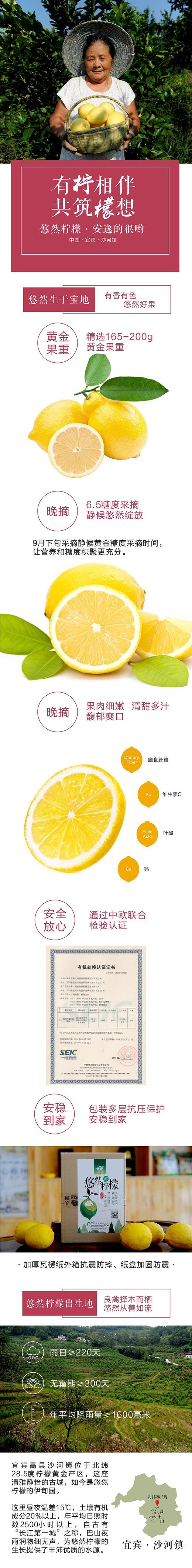 悠然柠檬 柠檬即食片维C柠檬片 果脯蜜饯柠檬干 200克 39.8元/包/包邮 商品图4