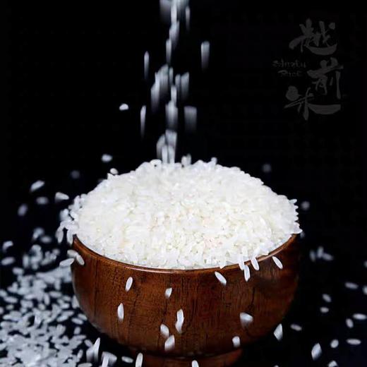 越前米 奶色姬品种 5kg 商品图6