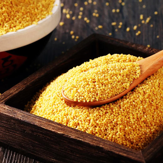沁州黄小米山西小米粮食五谷杂粮2.5千克小米5斤小黄米 - 鑫炳记官方