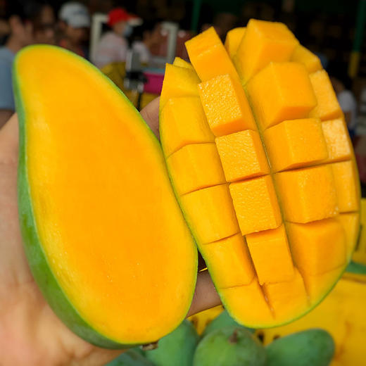 正宗广西田东出产299抢5斤中大果高端桂七香芒香味浓郁口感细腻ould