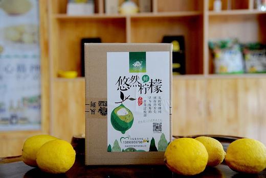 新鲜柠檬鲜果 商品图2