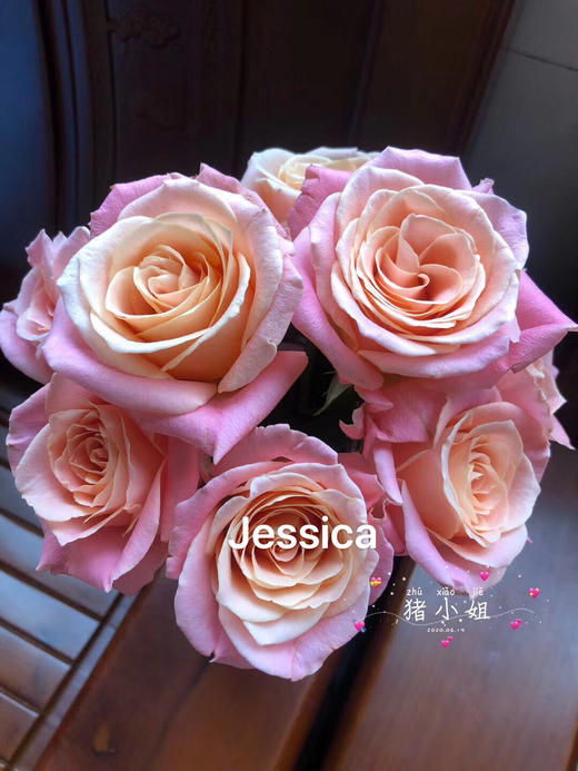 国产玫瑰-猪猪小姐-20支 商品图0