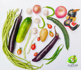 小毛驴市民农园自产蔬菜包 单次体验  月套餐  季套餐 可自选规定品种（ 北京包邮）