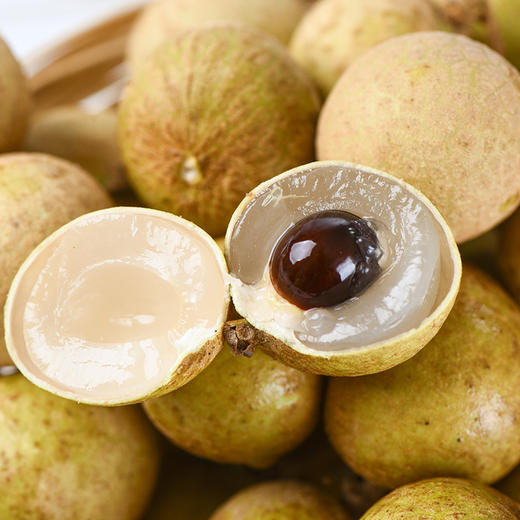 漳州老树龙眼 4斤装