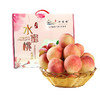 十方田-古田水蜜桃（5斤装） 商品缩略图0
