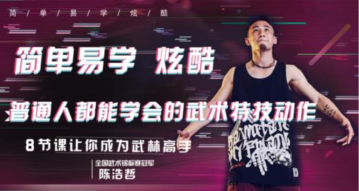 7 360后旋—功夫巨星托尼贾 成名之腿 商品图0