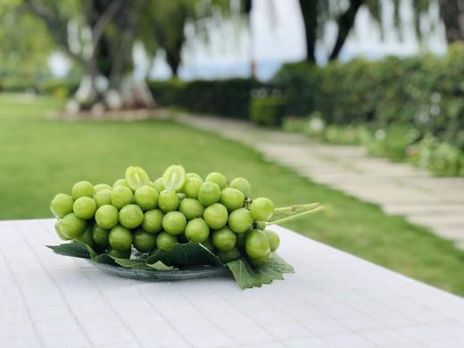 【品质精选】精品阳光玫瑰香印晴王3斤装大凉山果园 商品图1