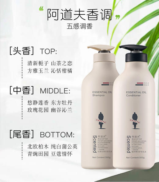 阿道夫（ADOLPH）植萃精华护发乳液 JPY带授权招加盟代理 商品图6