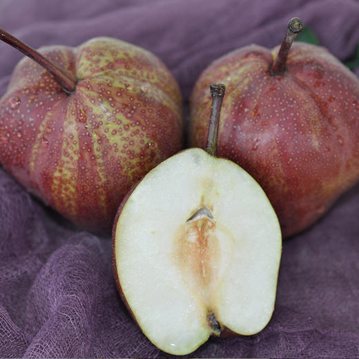 陕西渭南彩虹梨5斤装