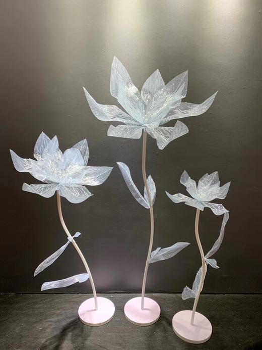 美纹花【运费自理】 商品图6