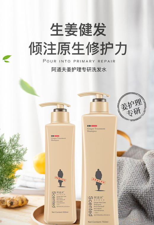 阿道夫生姜护理洗发水300ml 强韧健发 无生姜味JPY带授权招加盟代理 商品图1