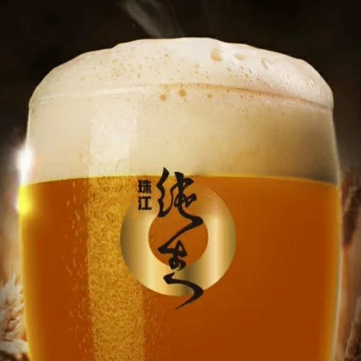 珠江啤酒97纯生528ml12瓶广州市内包邮