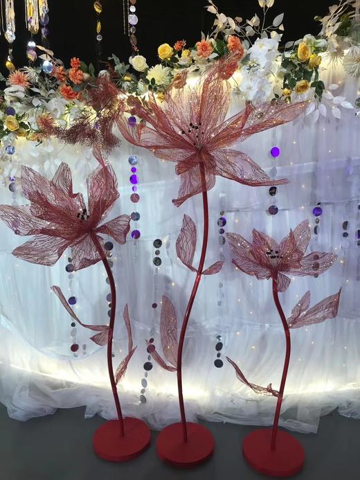 美纹花【运费自理】 商品图4