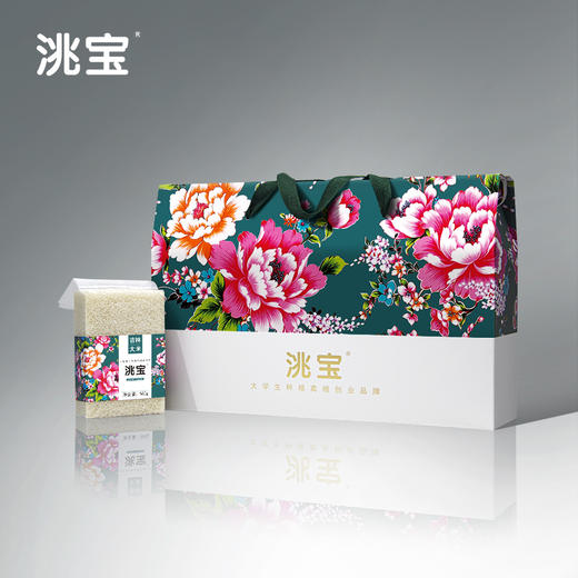 洮宝 吉林大米礼盒 东北大米500g*10 商品图0