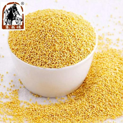 塞翁福 大黄米 400g 商品图1