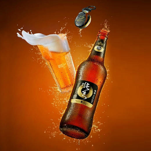 珠江啤酒97纯生528ml12瓶广州市内包邮