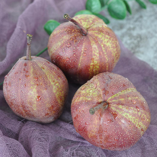 陕西渭南彩虹梨5斤装