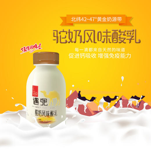 【遇见】驼奶风味酸乳245ml/瓶*15瓶 商品图2