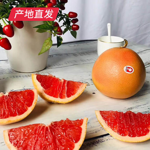 【南非红西柚】大果6枚，快递到家，约重5斤 商品图4