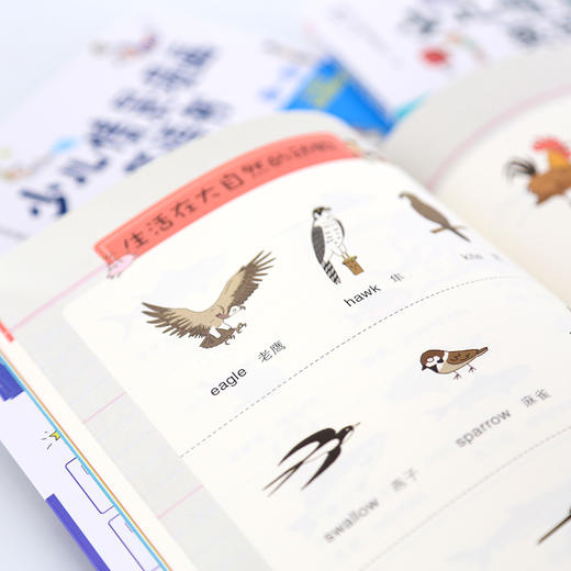 少儿情景漫画英语书（全三册） 商品图6