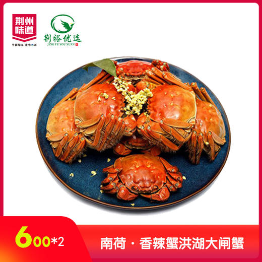南荷·香辣蟹洪湖大闸蟹  600g*2 商品图0