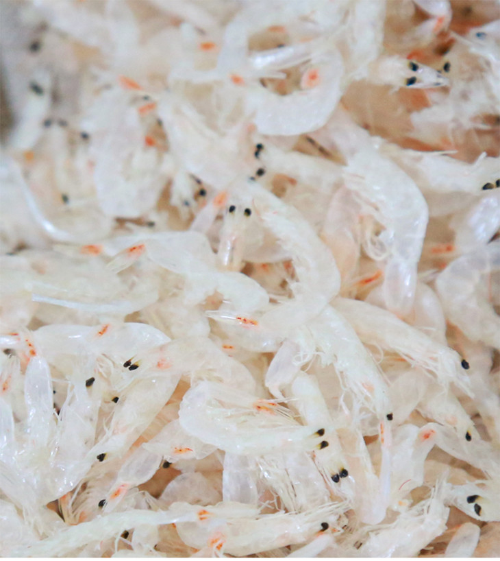 大连渤海湾野生淡干虾皮 350g*2袋 无色素 无添加