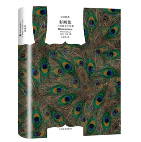 彩画集：兰波散文诗全集