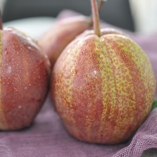 陕西渭南彩虹梨5斤装