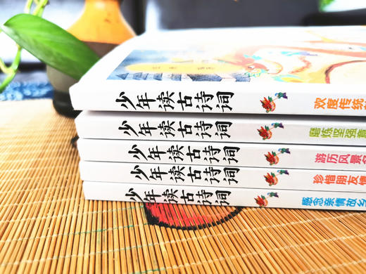 《少年读古诗词》全5册 1-9年级部编版语文必读篇目 商品图7