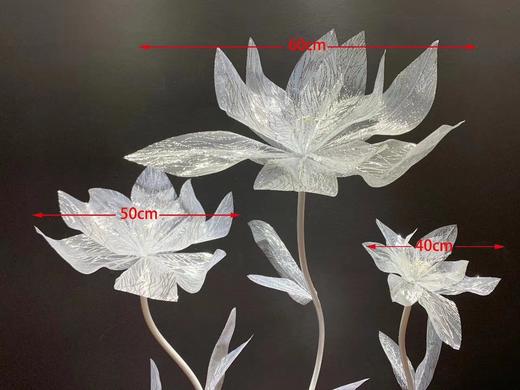 美纹花【运费自理】 商品图1