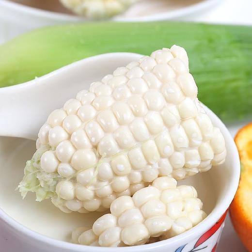 牛奶白水果玉米 净重3.5斤(6-8根)