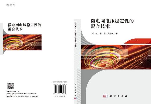 微电网电压稳定性的混合技术 商品图3