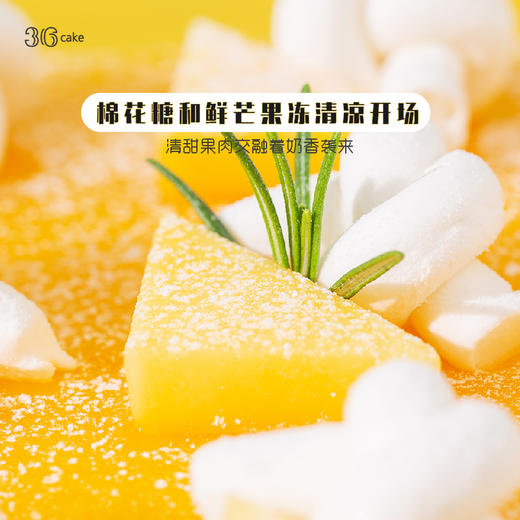 甜心芒芒，下午茶，足足650g 商品图2