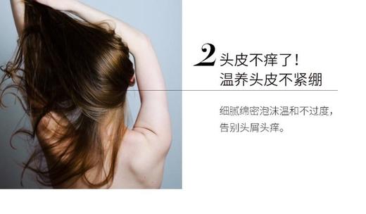 ADOLPH/阿道夫/精油香氛洗发水洗头膏420ml*2赠七件 控油清爽 男女通用控油祛屑柔顺发丝JPY带授权招加盟代理 商品图6