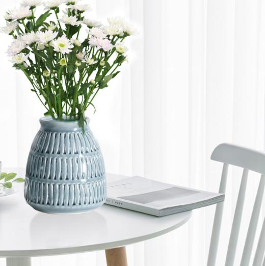 【花瓶】陶瓷花瓶 裂纹釉欧式瓷器 装饰家居创意插花器 玄关摆件花器艺术 商品图1