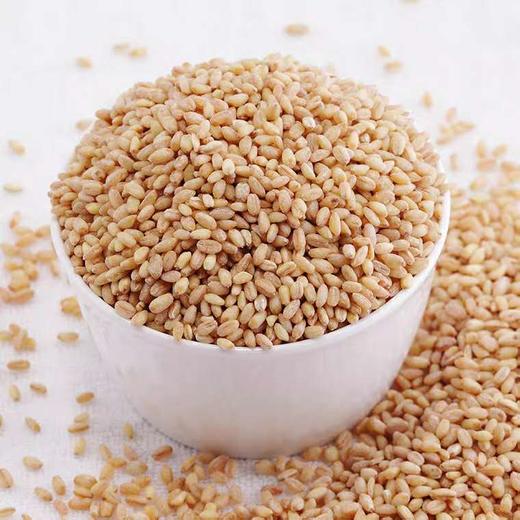 塞翁福 小麦仁 400g 商品图1