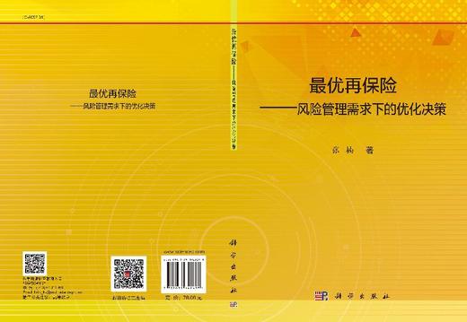 最优再保险——风险管理需求下的优化决策 商品图3