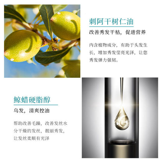 梵贞摩洛哥顺滑洗头水深层洁净清爽控油洗发露柔顺滋养洗发水