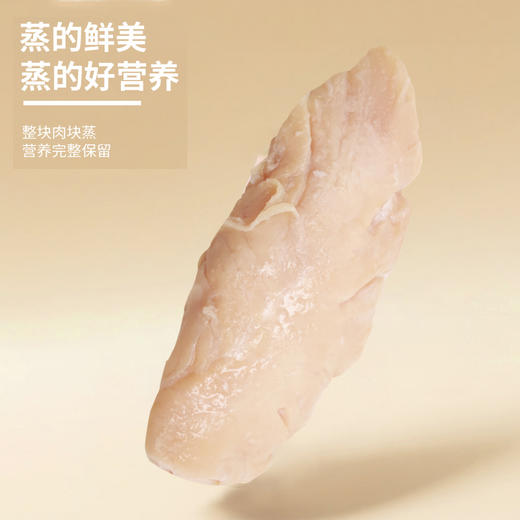 【美团热销爆品】猫零食批发宠物麦斯蒂鸡胸肉零食40g水煮鸡胸肉猫咪零食狗狗零食猫罐头 商品图6