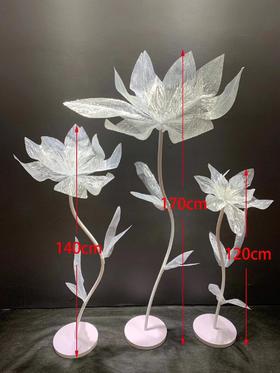 美纹花【运费自理】